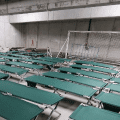 Cots lined up in a facility