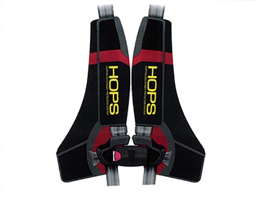 Seat Belt Harness System